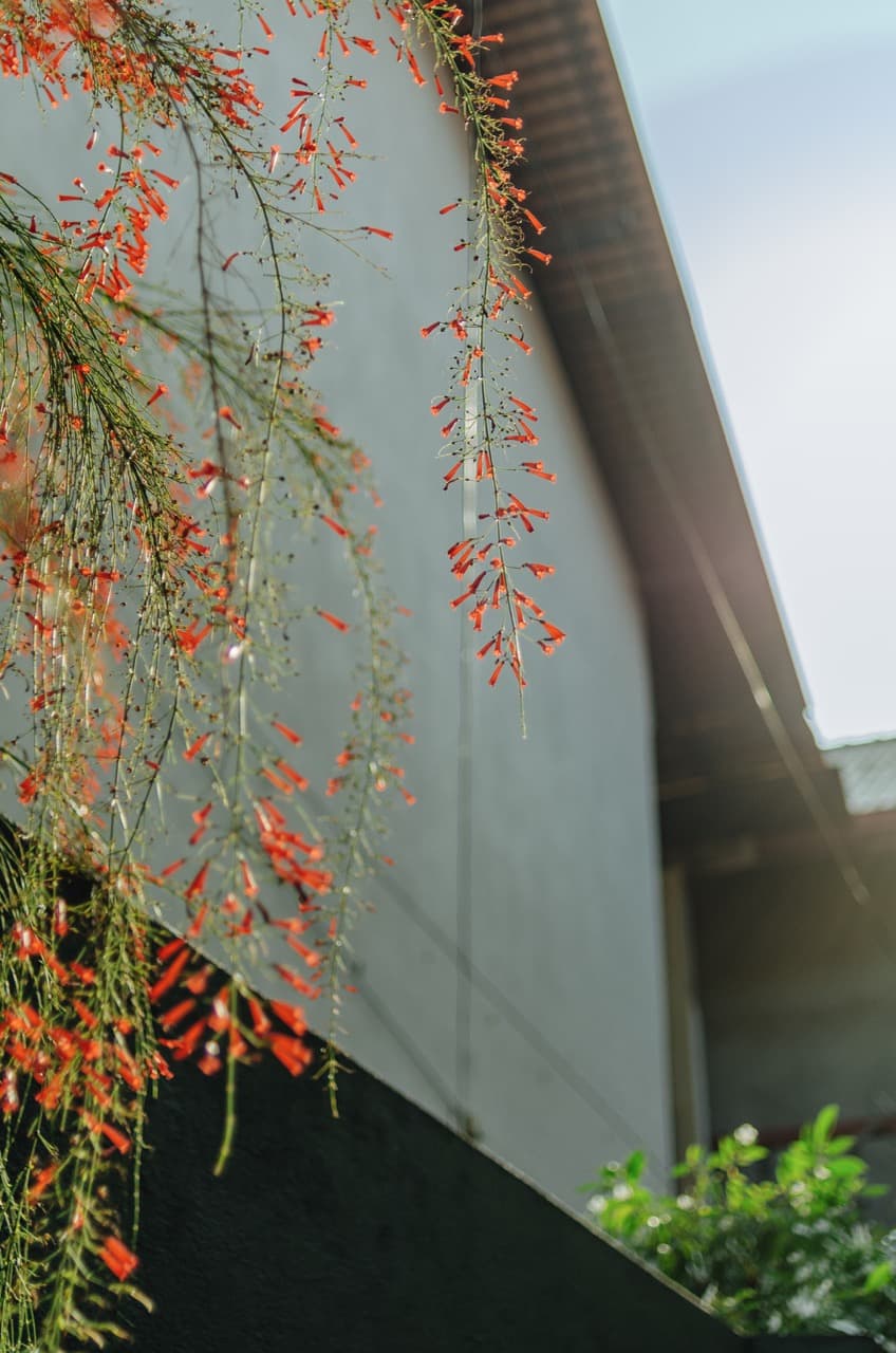 Превью Sri Lanka 2022